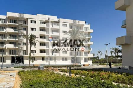3 Bedroom Flat for Sale in North Coast, Matruh - 01. jpg