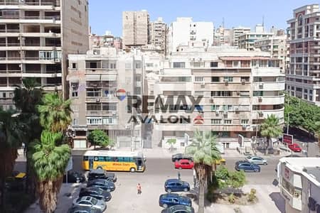 فلیٹ 3 غرف نوم للايجار في رشدي، الإسكندرية - 1. jpg فلیٹ 3 غرف نوم للايجار في رشدي، الإسكندرية - 1. jpg