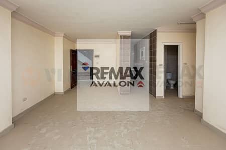 2 Bedroom Apartment for Sale in Raml Station, Alexandria - 1. jpg 2 Bedroom Apartment for Sale in Raml Station, Alexandria - 1. jpg