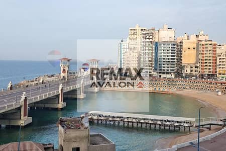 فلیٹ 5 غرف نوم للبيع في ستانلي، الإسكندرية - WhatsApp Image 2026-01-10 at 3.46. 37 PM (1). jpg فلیٹ 5 غرف نوم للبيع في ستانلي، الإسكندرية - WhatsApp Image 2026-01-10 at 3.46. 37 PM (1). jpg