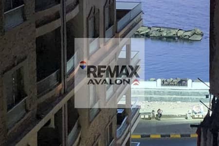 3 Bedroom Flat for Rent in Montazah, Alexandria - IMG-20241125-WA0027. jpg