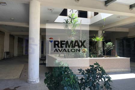 3 Bedroom Flat for Sale in Smoha, Alexandria - 1. jpg