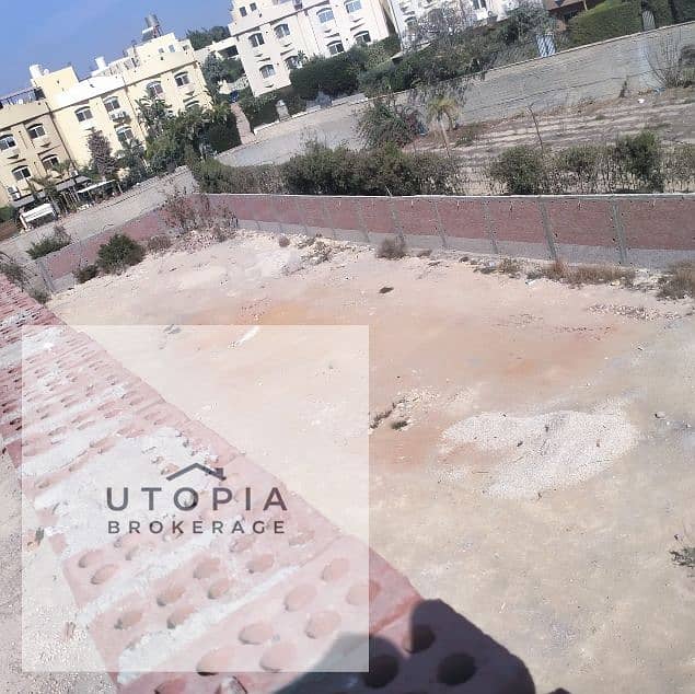7 لقطة شاشة 2026-06-03 153130. png