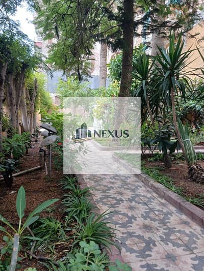Office for Rent in Zizinia, Alexandria - WhatsApp Image 2026-05-25 at 1.27. 05 AM (1). jpeg Office for Rent in Zizinia, Alexandria - WhatsApp Image 2026-05-25 at 1.27. 05 AM (1). jpeg