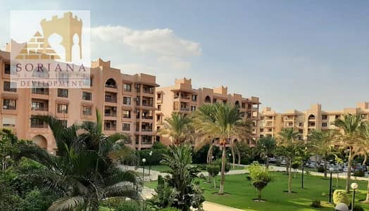 شقة 4 غرف نوم للايجار في القاهرة الجديدة، القاهرة - ZKHooGWI. jpg شقة 4 غرف نوم للايجار في القاهرة الجديدة، القاهرة - ZKHooGWI. jpg