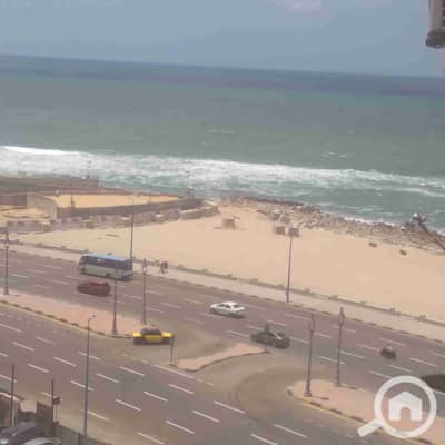 2 Bedroom Apartment for Rent in Miami, Alexandria - 1000360007. jpg