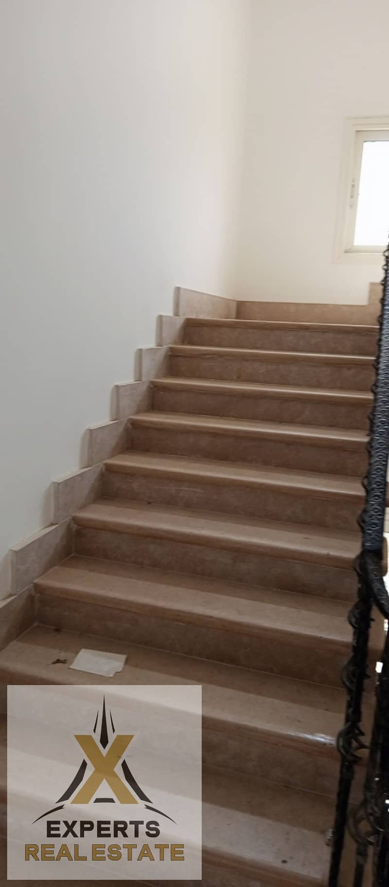 5 1000006548. jpg