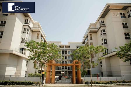 3 Bedroom Flat for Sale in New Cairo, Cairo - WhatsApp Image 2025-05-17 at 12.36. 39 PM (4). jpeg 3 Bedroom Flat for Sale in New Cairo, Cairo - WhatsApp Image 2025-05-17 at 12.36. 39 PM (4). jpeg