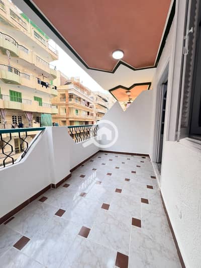 شقة 1 غرفة نوم للبيع في النخيل، الإسكندرية - 1000579224. jpg شقة 1 غرفة نوم للبيع في النخيل، الإسكندرية - 1000579224. jpg