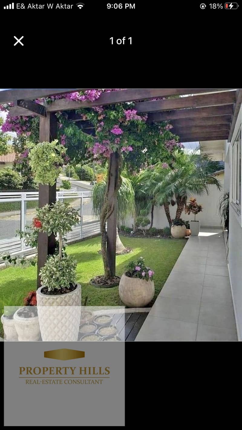 10 IMG_7456. png