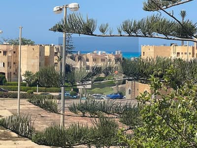 4 Bedroom Chalet for Sale in North Coast, Matruh - WhatsApp Image 2026-05-22 at 8.35. 57 PM. jpeg 4 Bedroom Chalet for Sale in North Coast, Matruh - WhatsApp Image 2026-05-22 at 8.35. 57 PM. jpeg