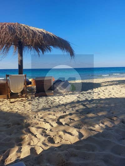 بنتهاوس 3 غرف نوم للايجار في الساحل الشمالي، مطروح - WhatsApp Image 2026-06-03 at 8.44. 05 PM (3). jpeg