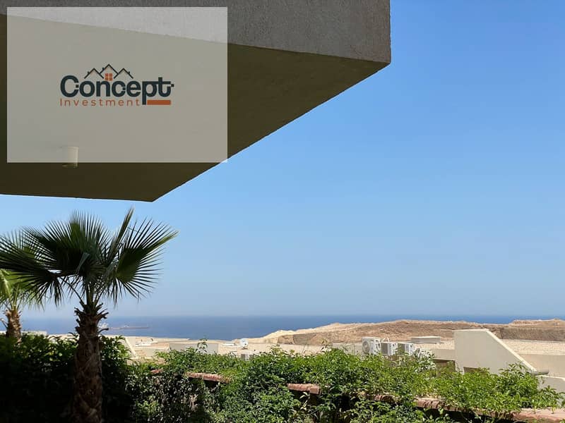 11 WhatsApp Image 2024-11-28 at 4.56. 49 PM. jpeg