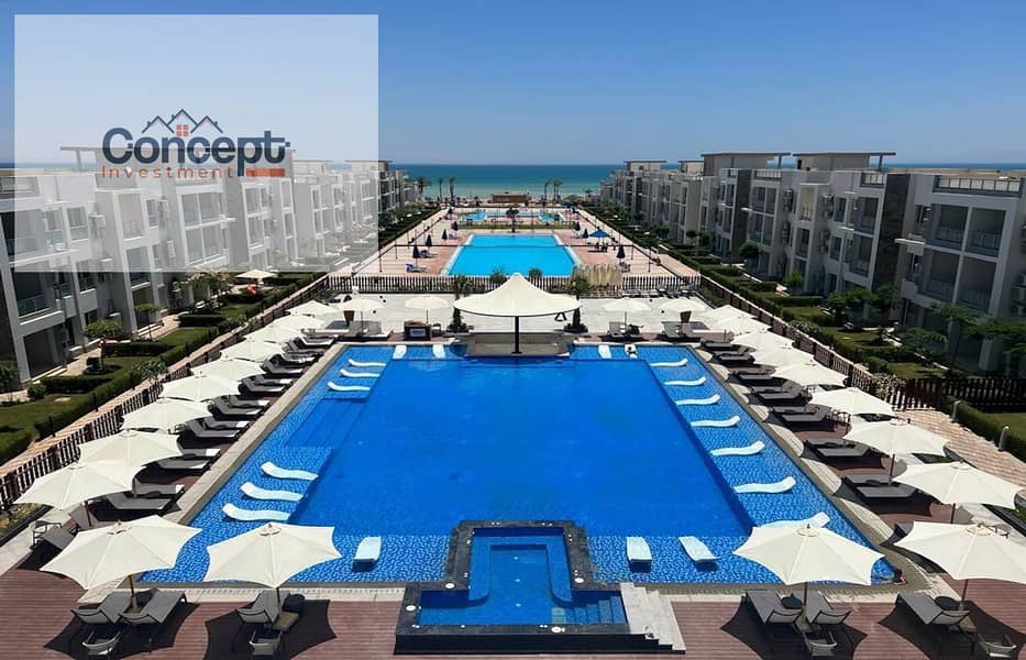 11 cea09fab-098e-4629-925c-f236fa03c3f5. jpeg
