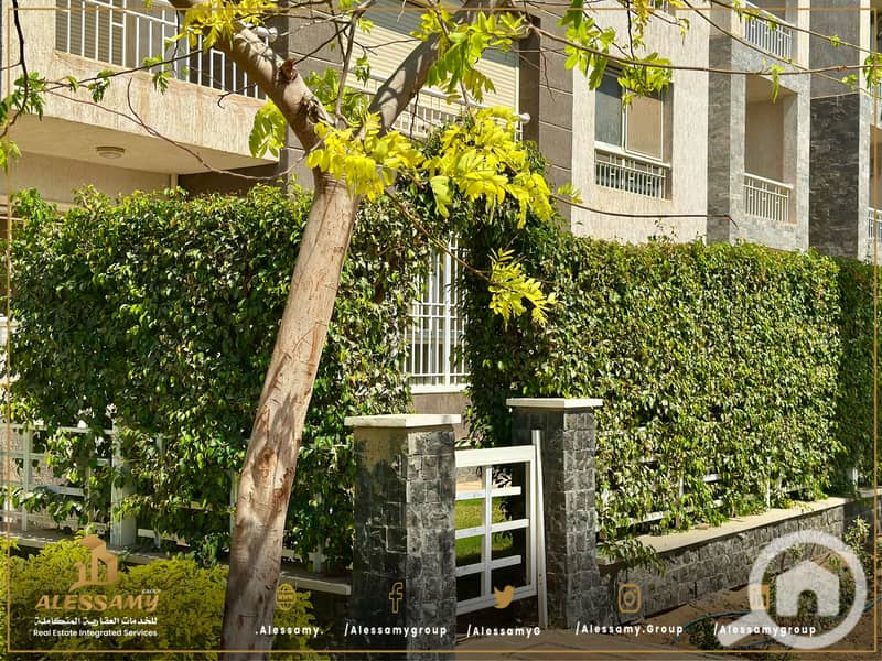9 APARTNENTFORSALEINAMADINATYB12G+G2026-05-28 at 4.22. 32 PMvillaforsaleinmadinatyluxurian 7. JPEG
