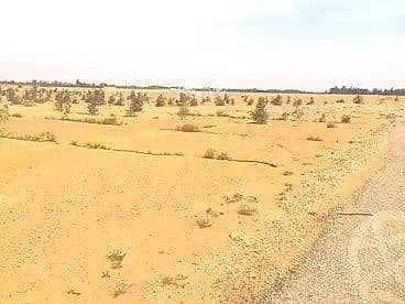 Land for Sale in Sheikh Zayed, Giza - WhatsApp Image 2026-06-04 at 1.32. 29 PM. jpeg