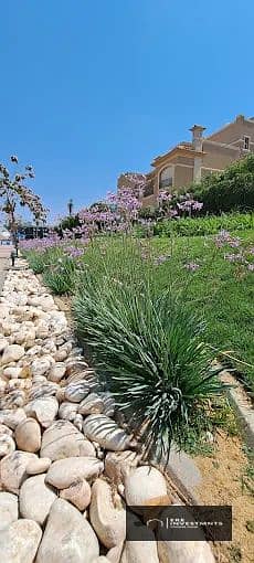 4 unnamed (10). jpg