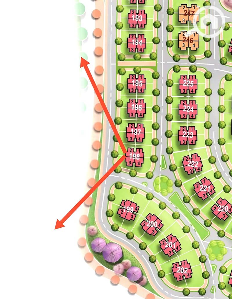 3 1000649550. jpg