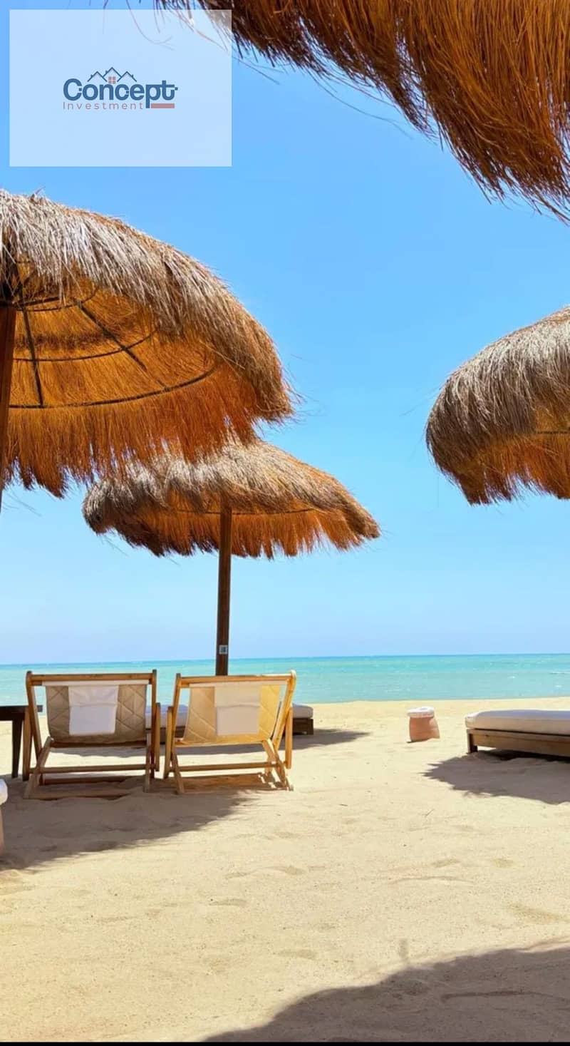 12 IMG_4732. jpg