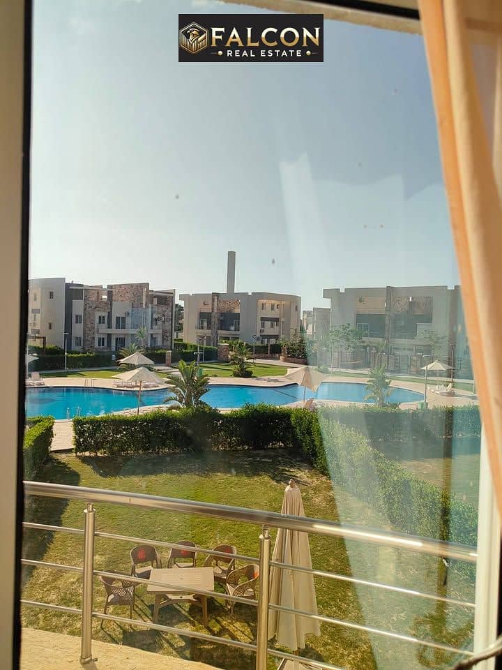 8 684942125_1556904202633931_2355540172878621629_n. jpg