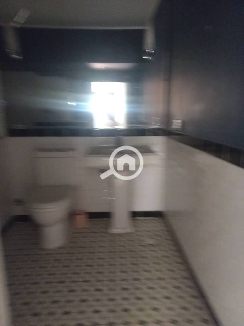 300m ground floor apartment with a private entrance and garden in Zamalek – další