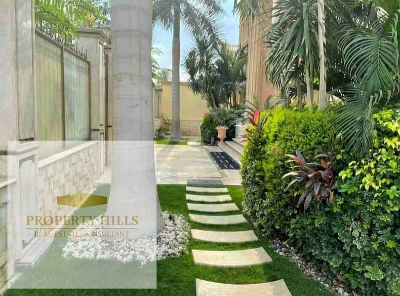 10 1000119867. jpg