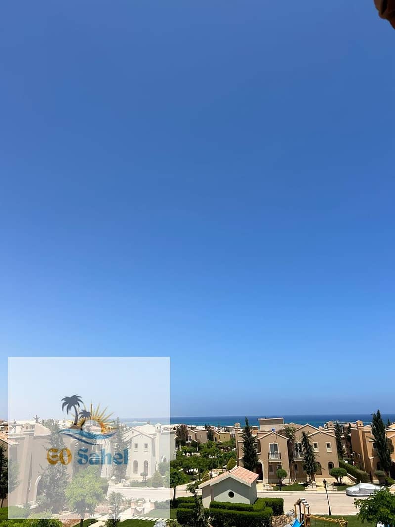 2 74529. jpg