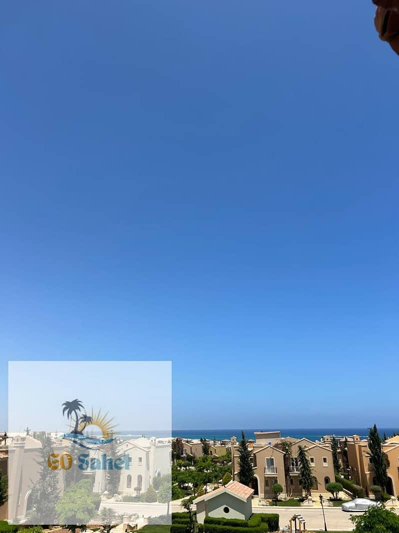 3 74526. jpg