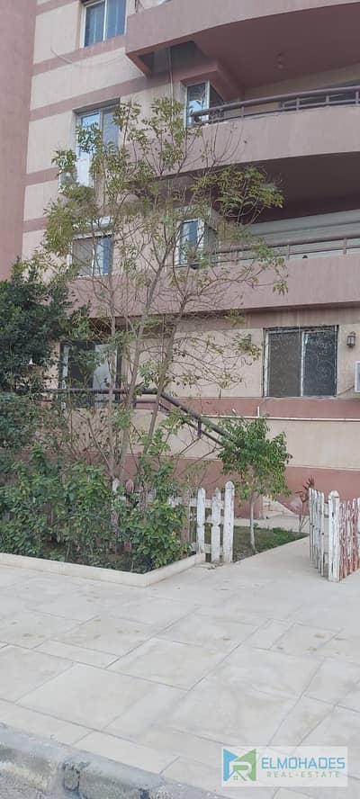 1 Bedroom Flat for Rent in New Cairo, Cairo - WhatsApp Image 2026-06-05 at 5.38. 18 PM. jpeg