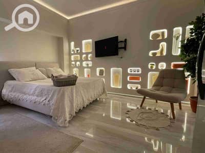 فلیٹ 1 غرفة نوم للايجار في الزمالك، القاهرة - 1000826651. jpg