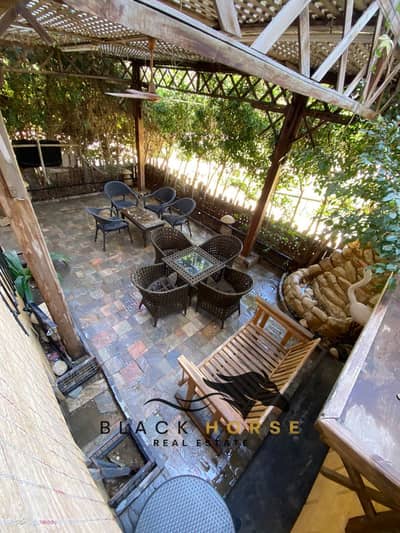 3 Bedroom Flat for Rent in New Cairo, Cairo - WhatsApp Image 2026-05-25 at 02.57. 16 (1). jpeg 3 Bedroom Flat for Rent in New Cairo, Cairo - WhatsApp Image 2026-05-25 at 02.57. 16 (1). jpeg