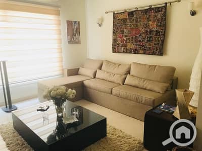 1 Bedroom Apartment for Rent in New Cairo, Cairo - WhatsApp Image 2026-06-01 at 1.42. 14 PM (6). jpeg 1 Bedroom Apartment for Rent in New Cairo, Cairo - WhatsApp Image 2026-06-01 at 1.42. 14 PM (6). jpeg