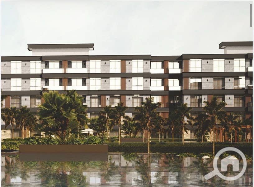 4 dejoya zayed (4). jpg