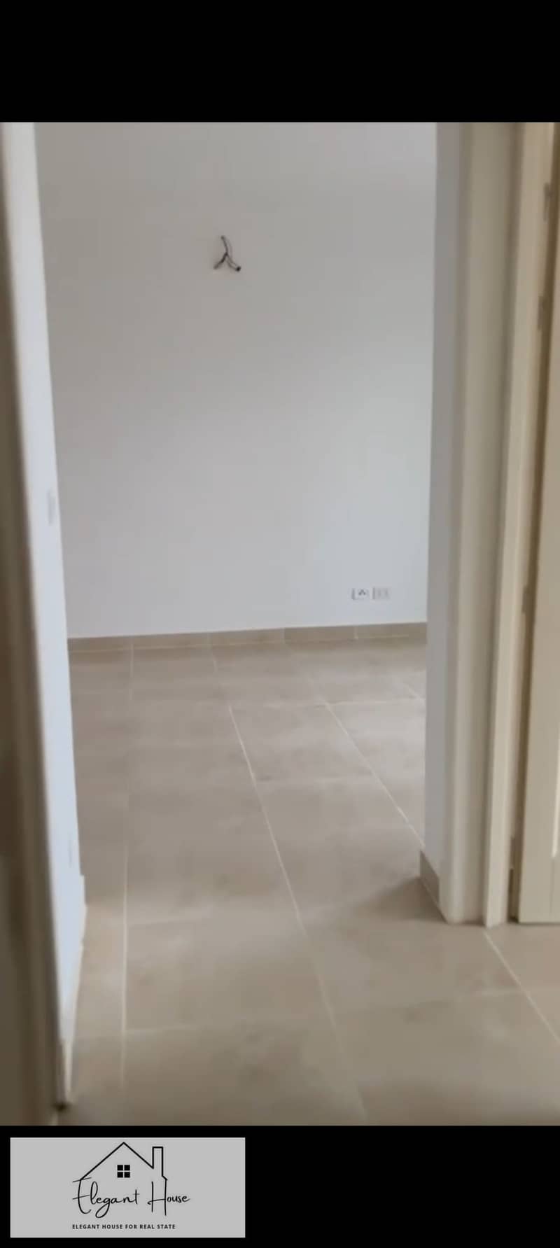 2 374194. jpg