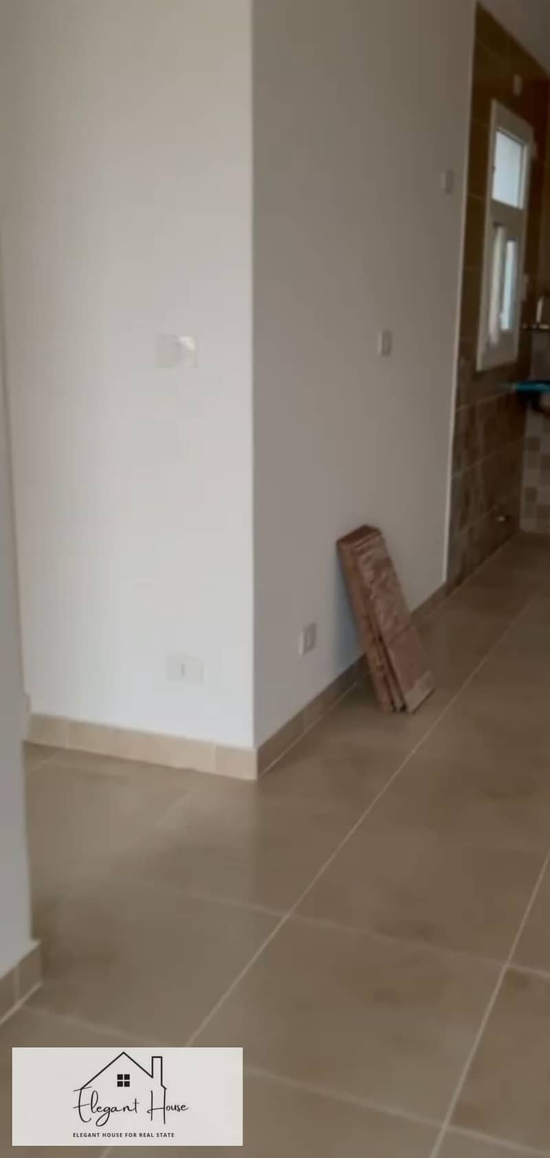 3 374188. jpg