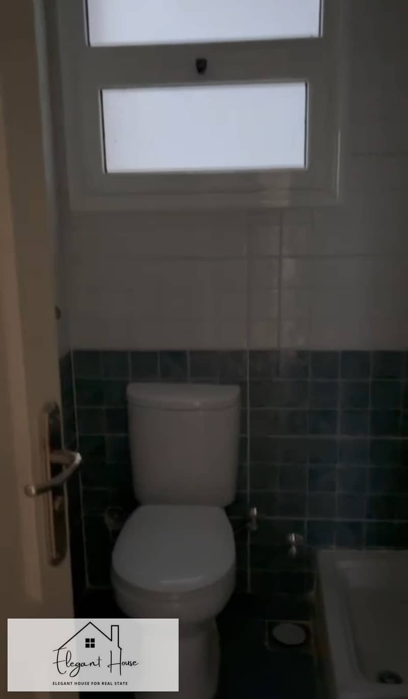 5 374196. jpg