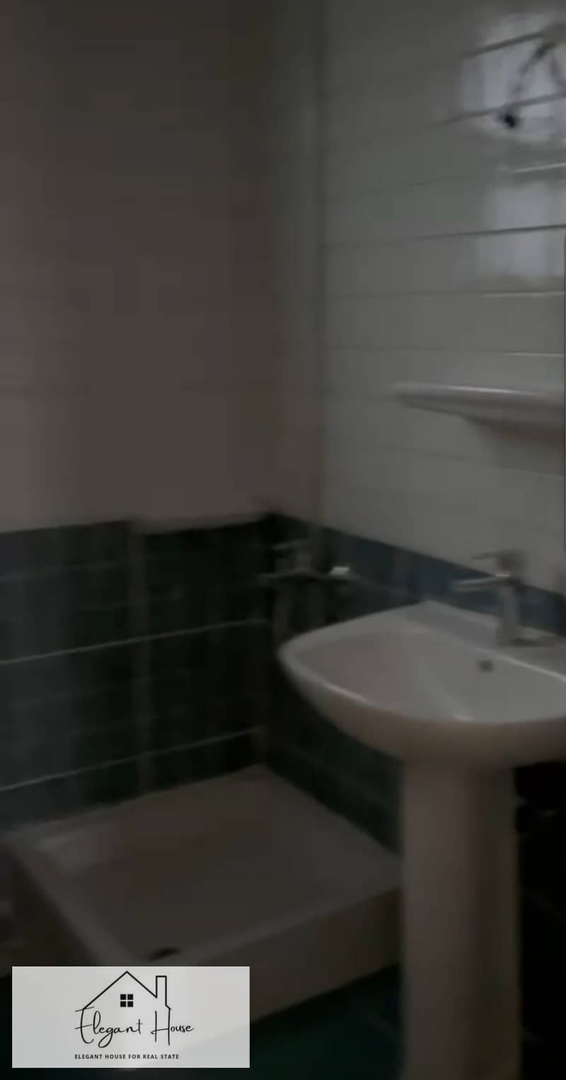 6 374195. jpg