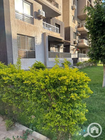 فلیٹ 3 غرف نوم للبيع في الشيخ زايد، الجيزة - 1000846497. jpg فلیٹ 3 غرف نوم للبيع في الشيخ زايد، الجيزة - 1000846497. jpg