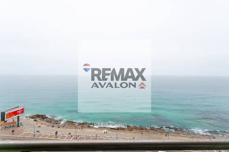 3 Bedroom Apartment for Sale in Camp Caesar, Alexandria - 8F0A2794. jpg 3 Bedroom Apartment for Sale in Camp Caesar, Alexandria - 8F0A2794. jpg