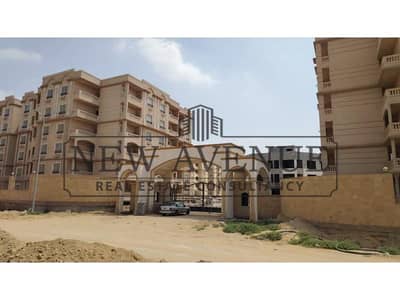 فلیٹ 3 غرف نوم للبيع في القاهرة الجديدة، القاهرة - WhatsApp Image 2026-06-04 at 7.20. 12 PM (2). jpg