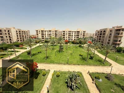 فلیٹ 4 غرف نوم للايجار في القاهرة الجديدة، القاهرة - 1001031914. jpg فلیٹ 4 غرف نوم للايجار في القاهرة الجديدة، القاهرة - 1001031914. jpg