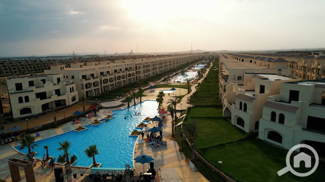 4 Palm 2022 (11). jpg