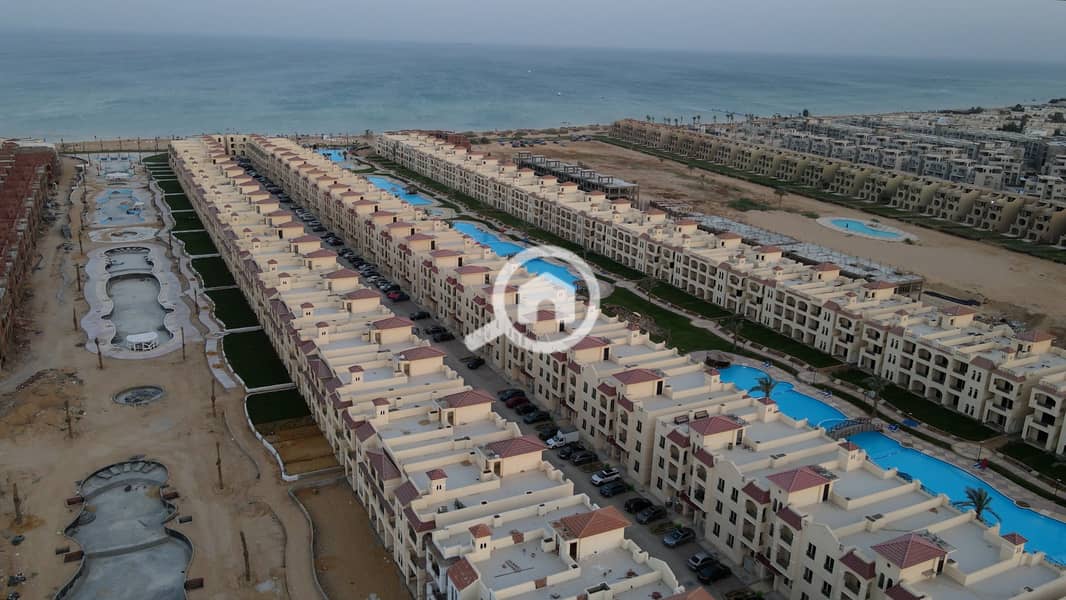 5 Palm 2022 (19). jpg