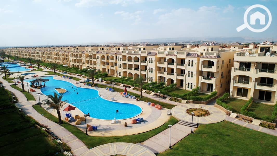 16 Palm 2022 (41). jpg