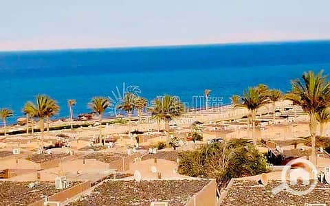شاليه 1 غرفة نوم للبيع في العين السخنة، السويس - شالية-للبيع-منتجع-ستلا-دى-مارى-سى-فيو-العين-السخنة- (1). jpg شاليه 1 غرفة نوم للبيع في العين السخنة، السويس - شالية-للبيع-منتجع-ستلا-دى-مارى-سى-فيو-العين-السخنة- (1). jpg
