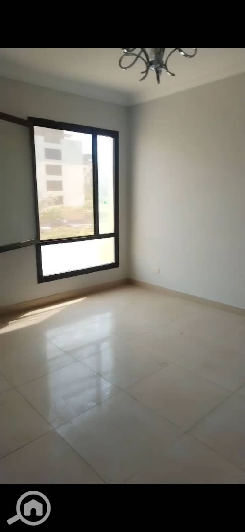 11 1000959383. jpg