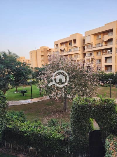 3 Bedroom Flat for Sale in Madinaty, Cairo - 1000700508. jpg 3 Bedroom Flat for Sale in Madinaty, Cairo - 1000700508. jpg