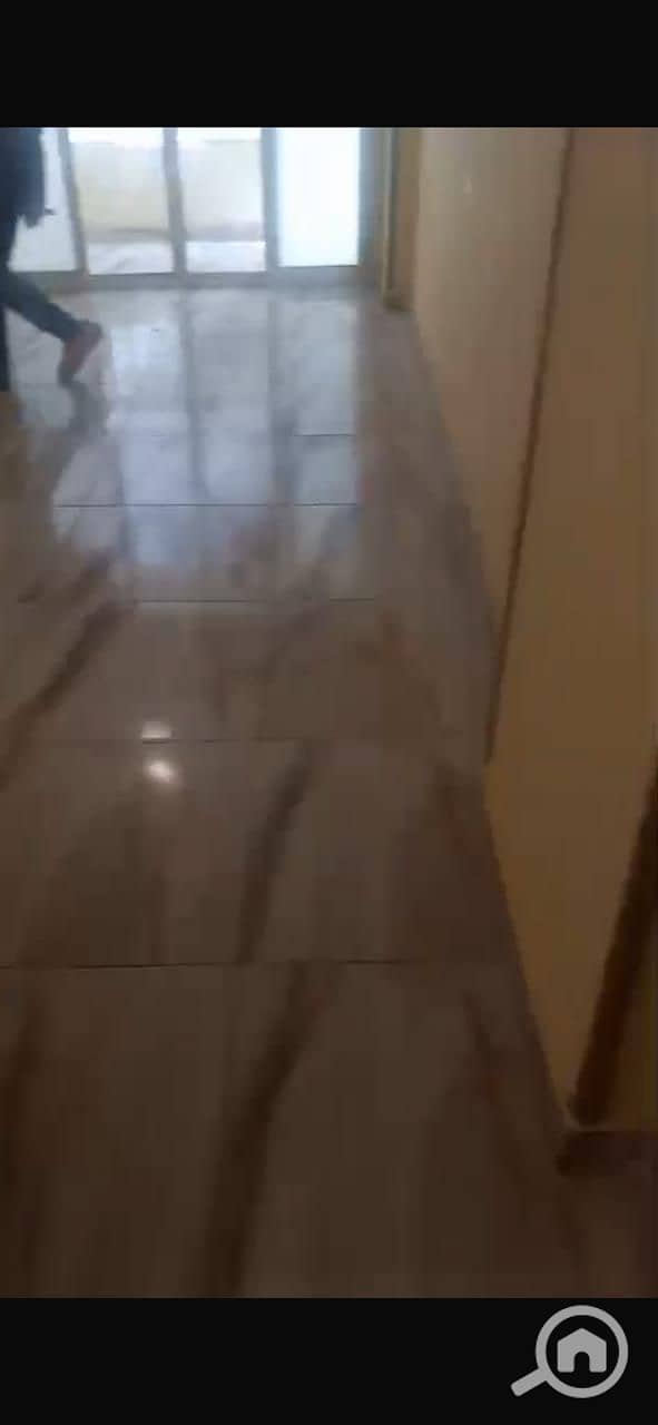 5 38254. jpg