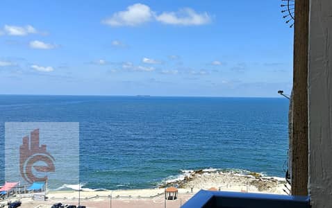 3 Bedroom Apartment for Rent in Camp Caesar, Alexandria - 5. jpg