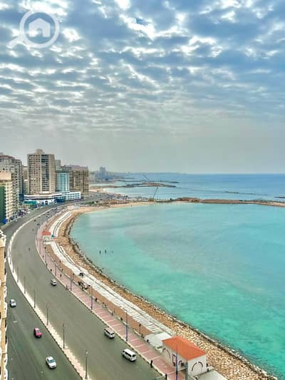 3 Bedroom Apartment for Rent in Sidi Beshr, Alexandria - 1000713501. jpg